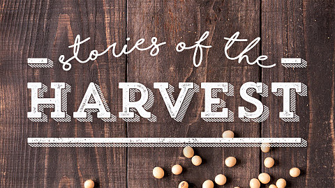Stories of the Harvest